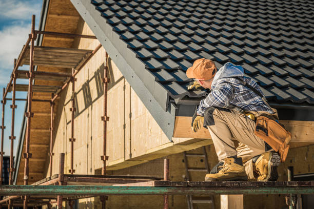 Best Residential Roof Replacement  in Woodland Beach, MI