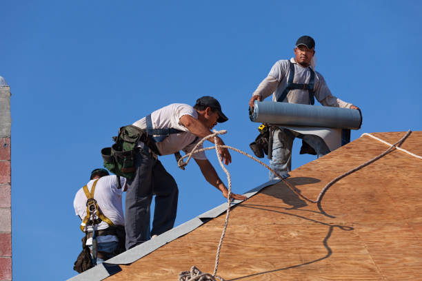 Best Flat Roof Repair Services  in Woodland Beach, MI