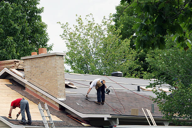 Best Local Roofing Companies  in Woodland Beach, MI