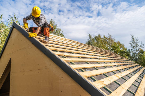 Best Roof Gutter Cleaning  in Woodland Beach, MI