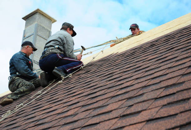 Best Roof Repair Services  in Woodland Beach, MI